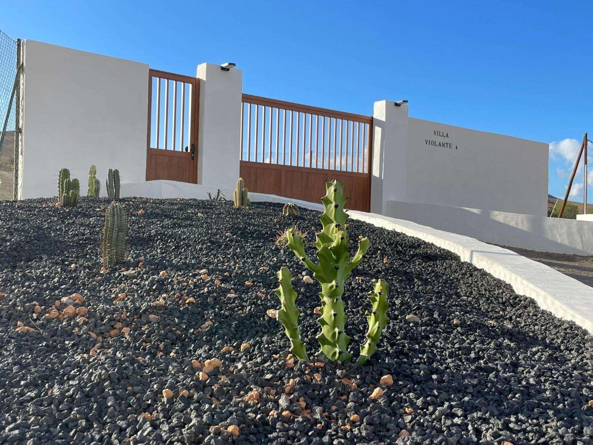 Apartamentos Violante Tuineje Exteriör bild